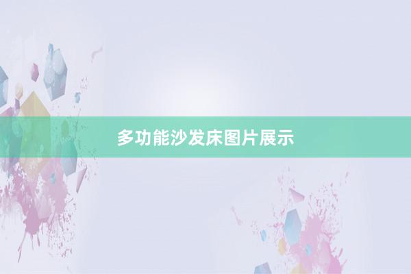 多功能沙发床图片展示