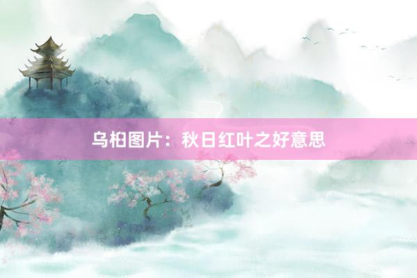乌桕图片:秋日红叶之好意思
